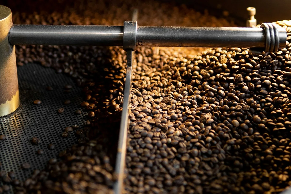 Freshly roasted coffee beans in warm light